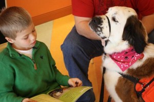 Therapy Dog