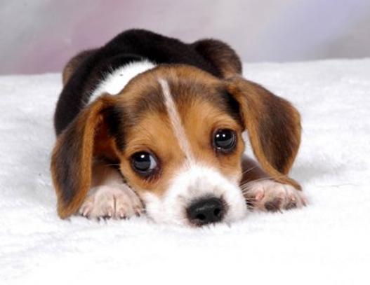 Innocent enough for now