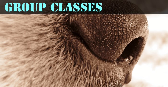 Classes