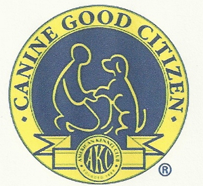 Your dog may be eligible to receive AKC recognition in the Canine Good Citizen program after completing Therapy Dog Training.